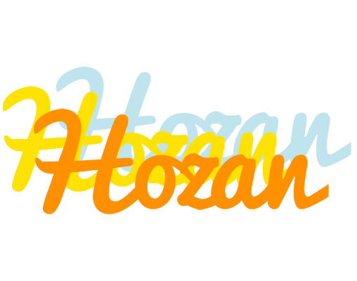 Hozan energy logo