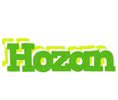 Hozan picnic logo