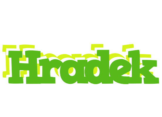 Hradek picnic logo