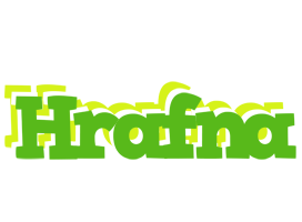 Hrafna picnic logo