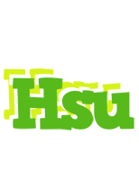 Hsu picnic logo