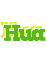 Hua picnic logo