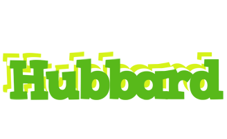 Hubbard picnic logo