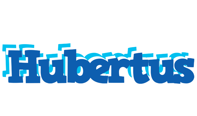 Hubertus business logo