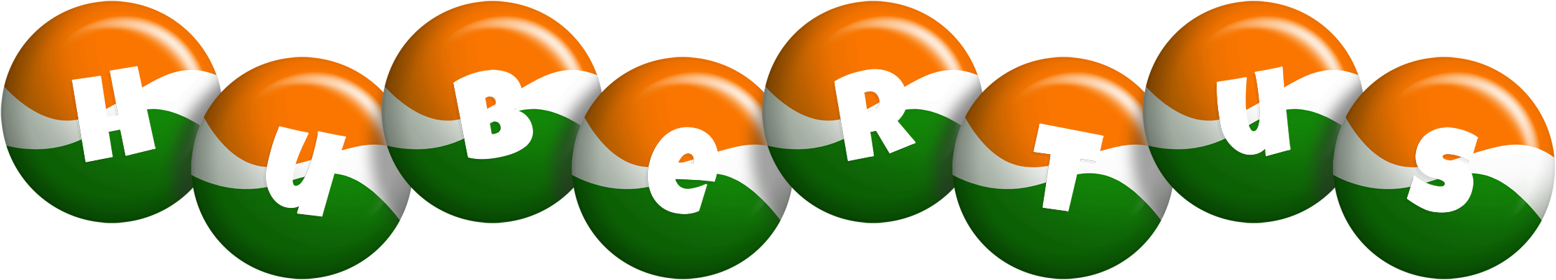 Hubertus india logo