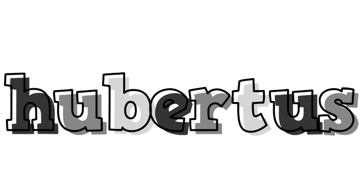Hubertus night logo