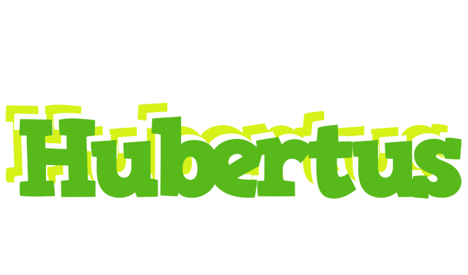 Hubertus picnic logo