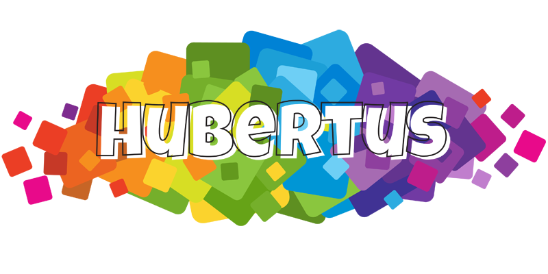 Hubertus pixels logo