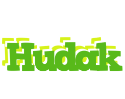 Hudak picnic logo