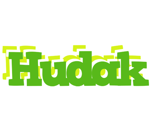 Hudak picnic logo