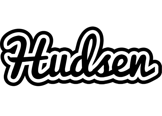 Hudsen chess logo