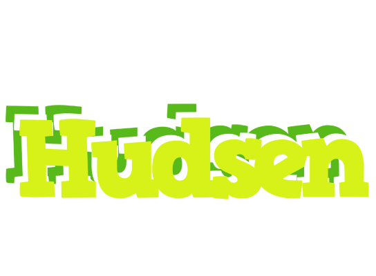 Hudsen citrus logo