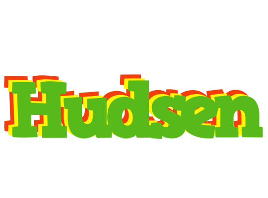 Hudsen crocodile logo