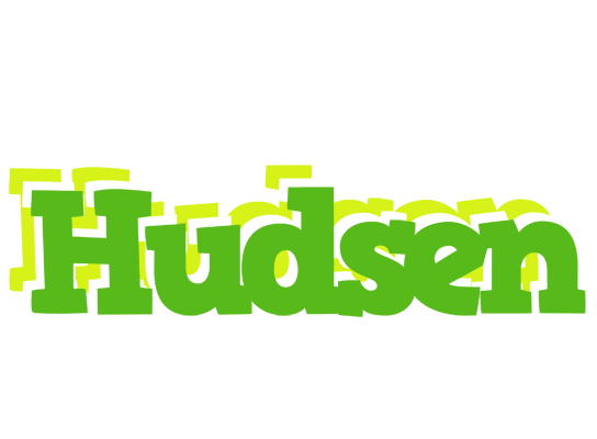 Hudsen picnic logo