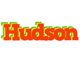 Hudson bbq logo