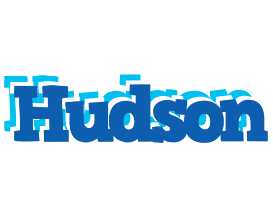 Hudson business logo