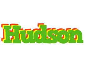 Hudson crocodile logo