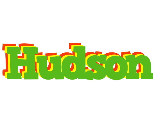 Hudson crocodile logo