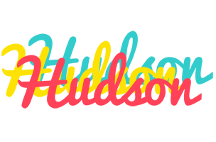 Hudson disco logo