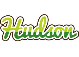 Hudson golfing logo