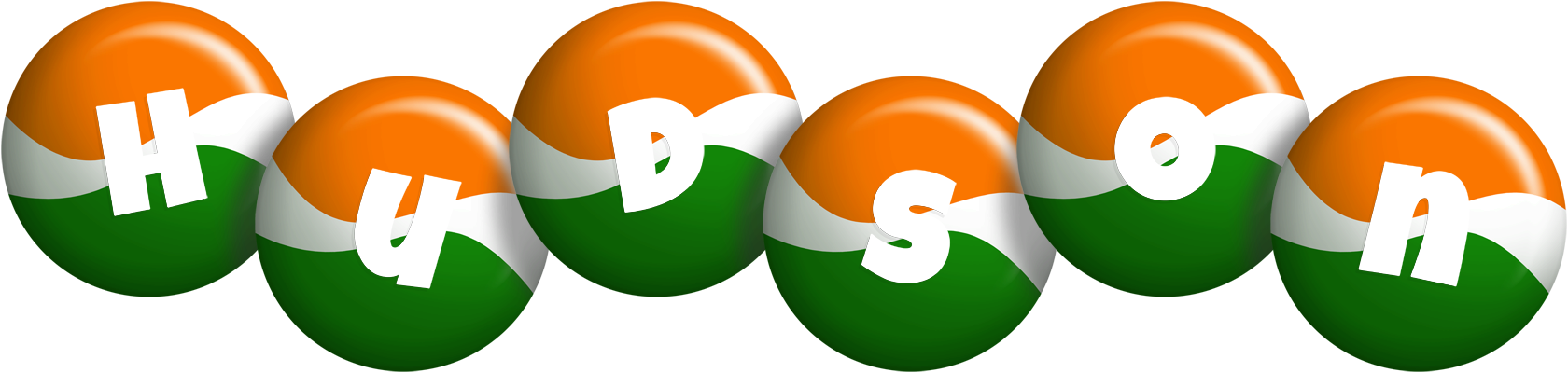 Hudson india logo