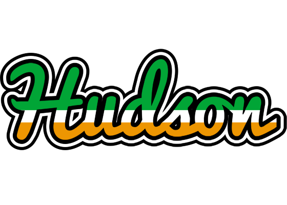 Hudson ireland logo