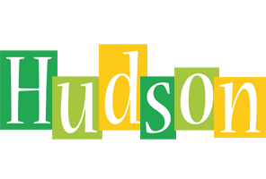 Hudson lemonade logo