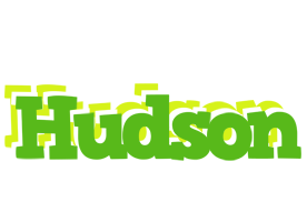 Hudson picnic logo