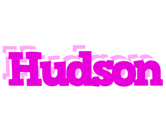 Hudson rumba logo