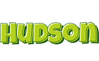 Hudson summer logo