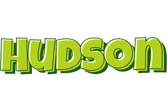 Hudson summer logo