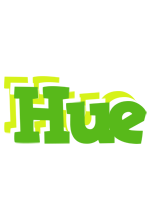 Hue picnic logo