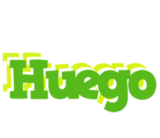 Huego picnic logo