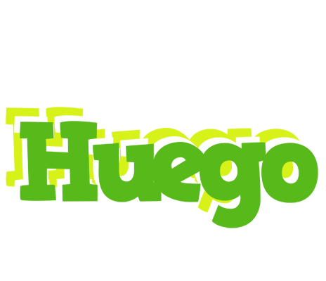 Huego picnic logo