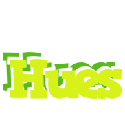 Hues citrus logo