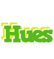 Hues picnic logo