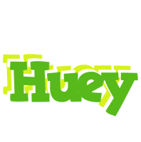 Huey picnic logo