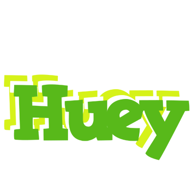 Huey picnic logo