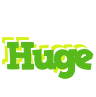 Huge picnic logo