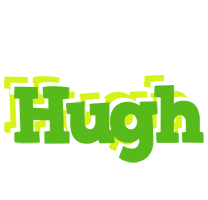 Hugh picnic logo