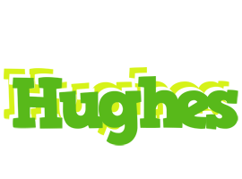 Hughes picnic logo