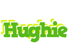 Hughie picnic logo