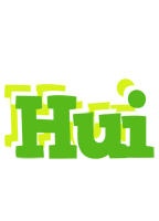 Hui picnic logo