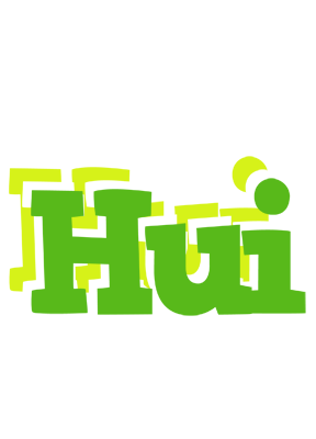 Hui picnic logo