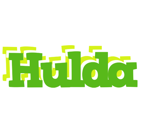 Hulda picnic logo