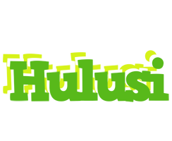 Hulusi picnic logo