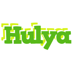 Hulya picnic logo