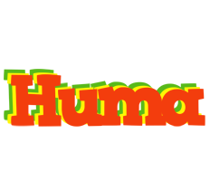 Huma bbq logo