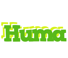 Huma picnic logo