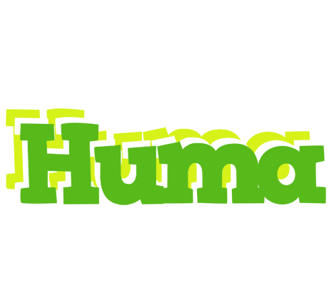 Huma picnic logo